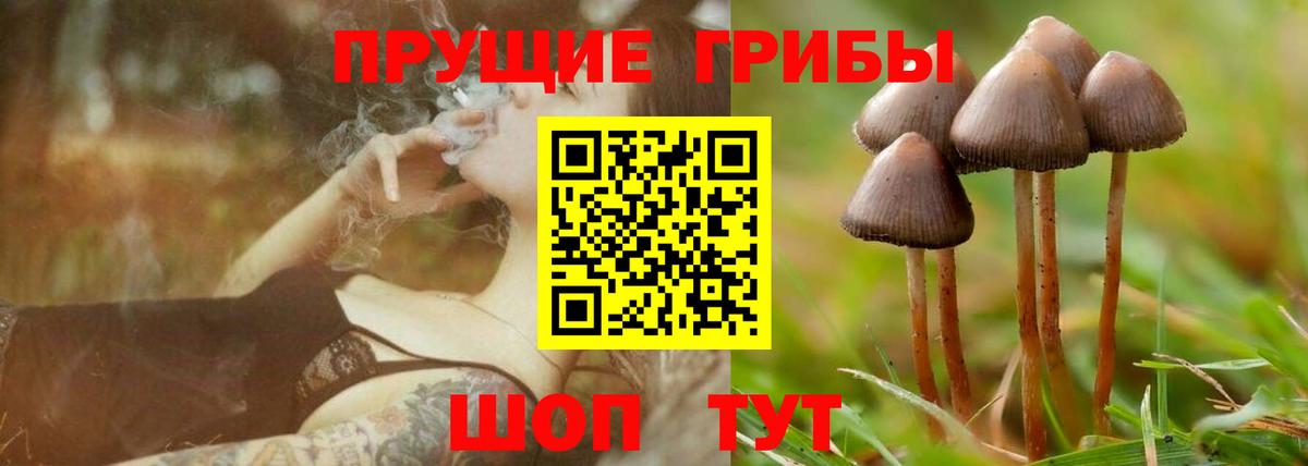Псилоцибиновые грибы Cubensis  закладка  Лесной  Вход с VPN 